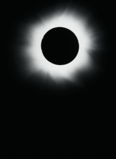 SIGMA, KYOTOGRAPHIE International Photography Festival